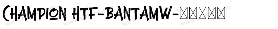 Champion HTF-Bantamw字体转换